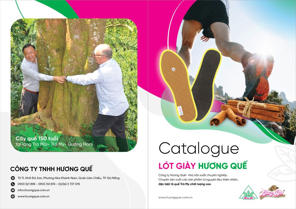 thiet-ke-catalogue-da-nang